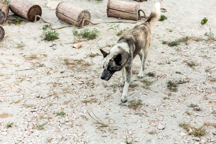 Auto-podróże, Europa, rumunia.