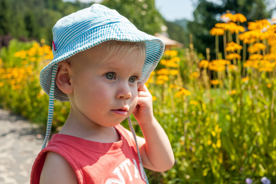 Auto-podróże, Europa, rumunia.